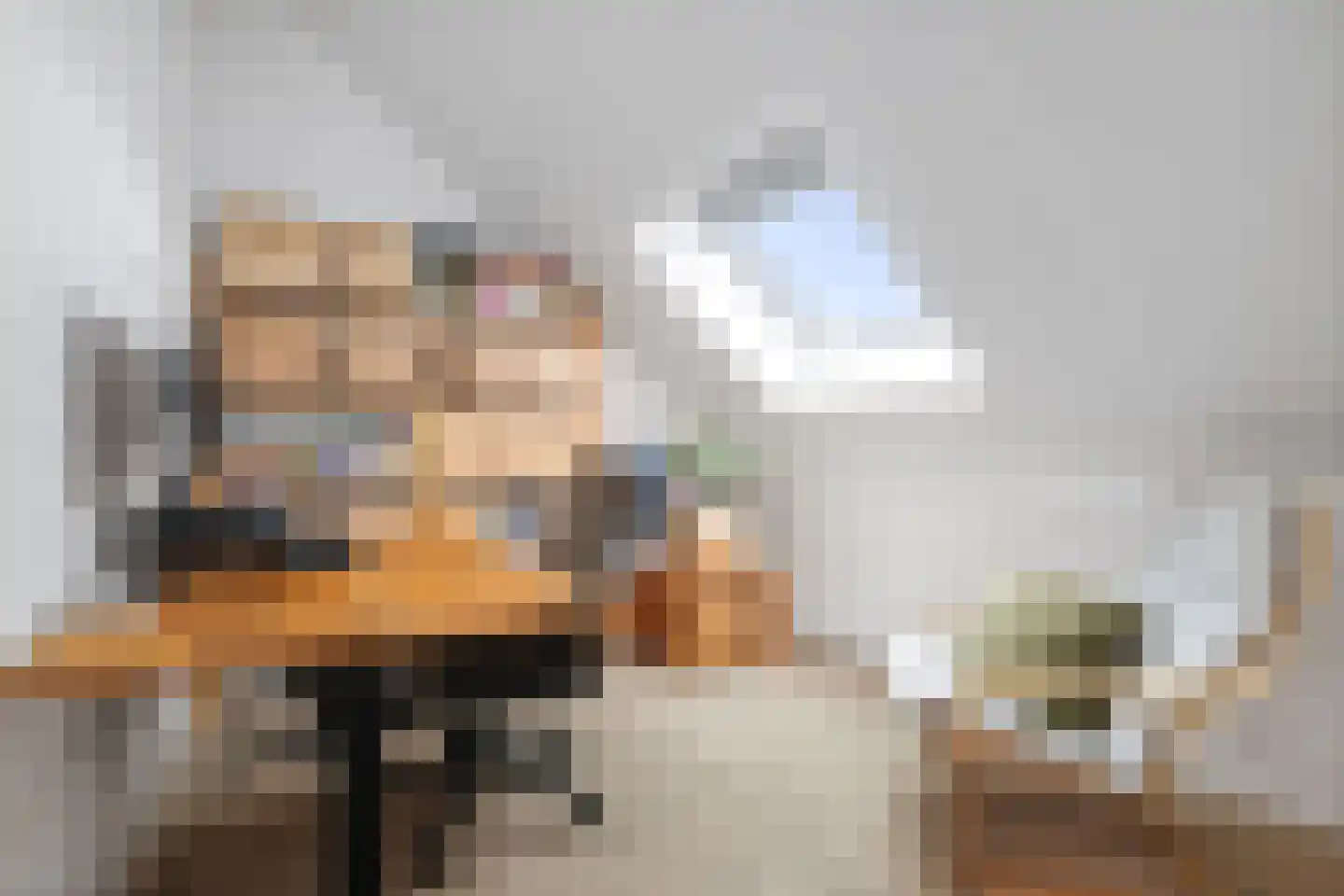 Koolmees 24 Olst thumbnail 29
