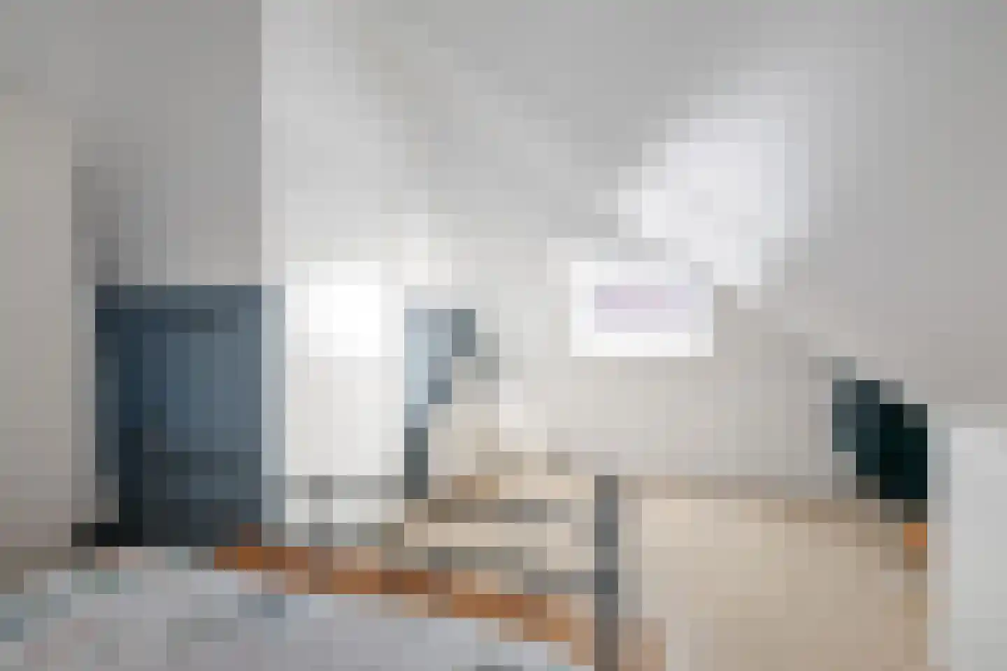 Koolmees 24 Olst thumbnail 31