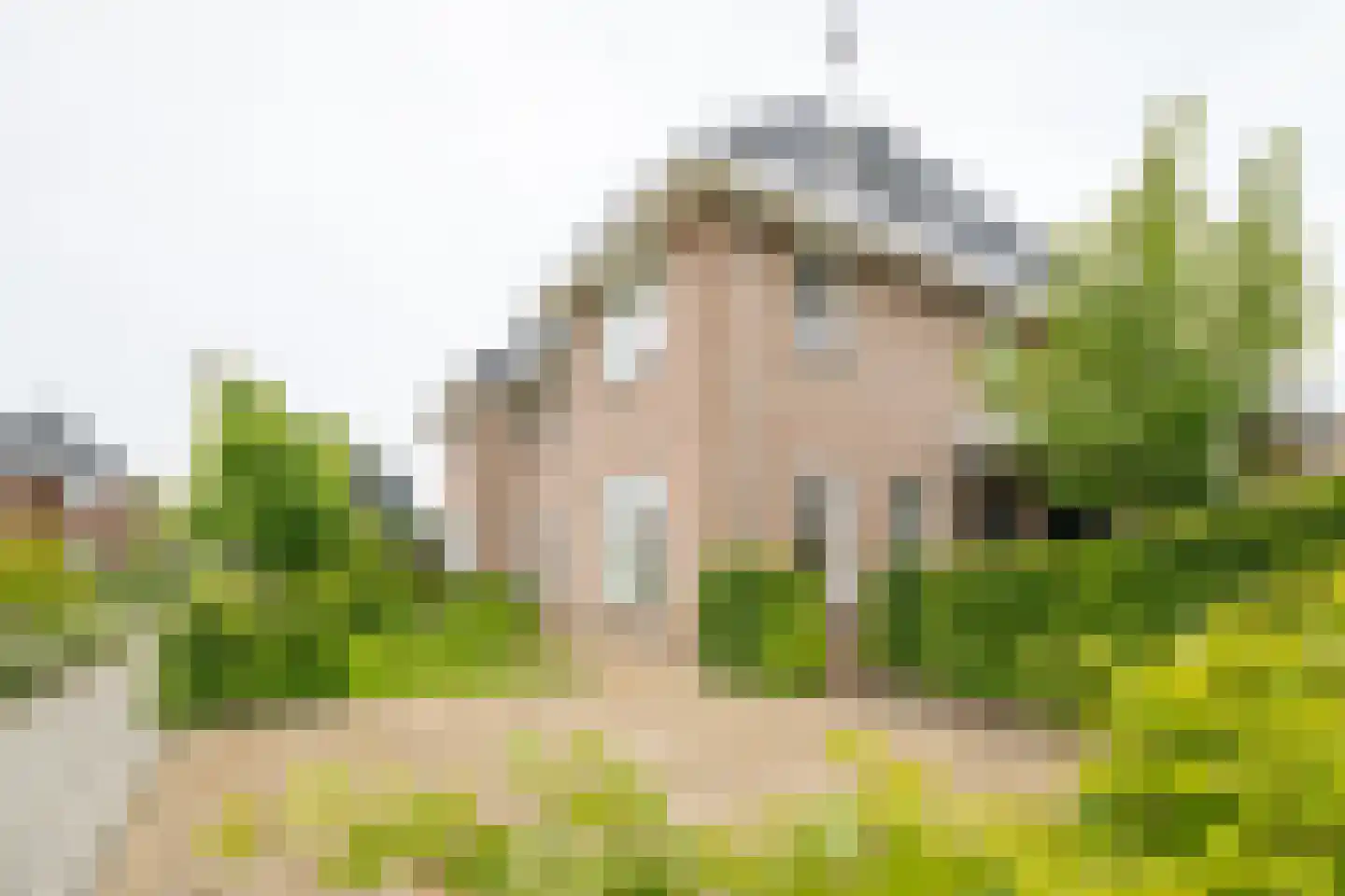 Koolmees 24 Olst thumbnail 32