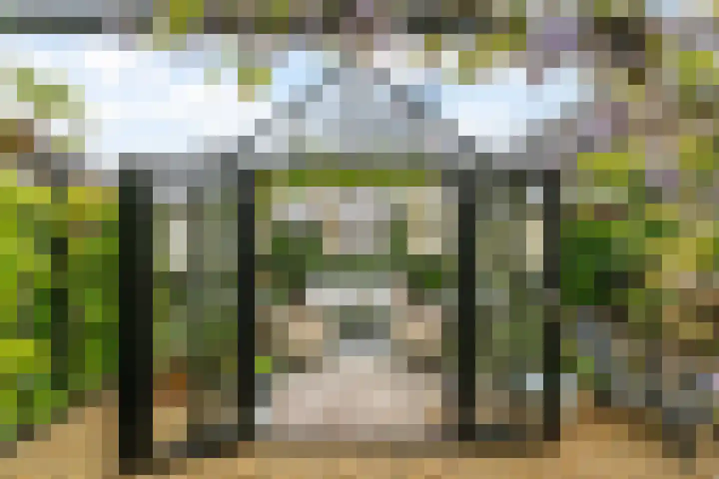 Koolmees 24 Olst thumbnail 4
