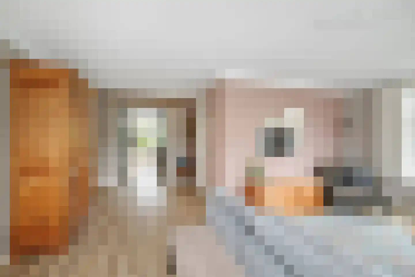 Koolmees 24 Olst thumbnail 8