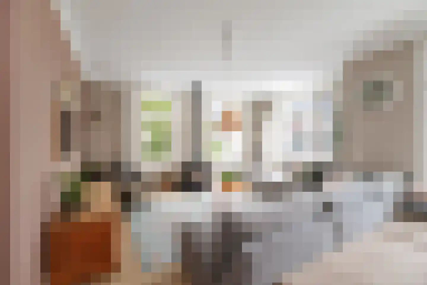 Koolmees 24 Olst thumbnail 9