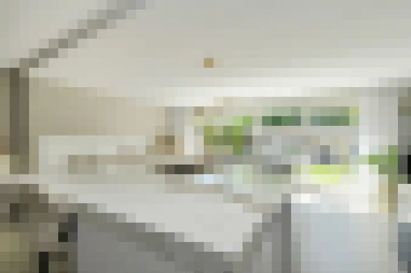 Koolmees 26 Breda thumbnail 13
