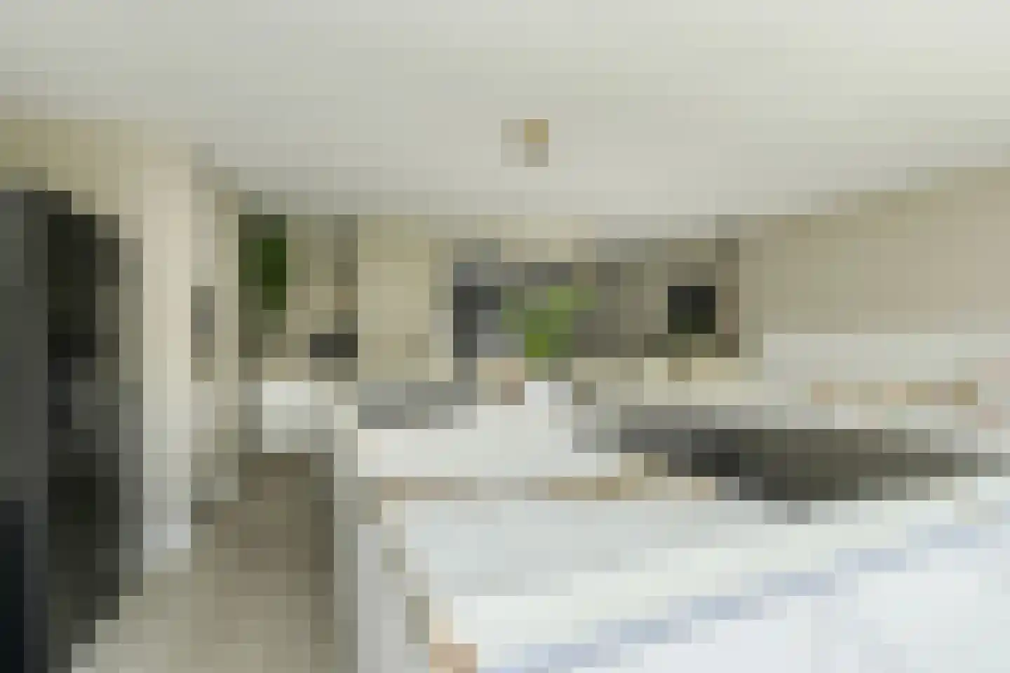 Koolmees 26 Breda thumbnail 16