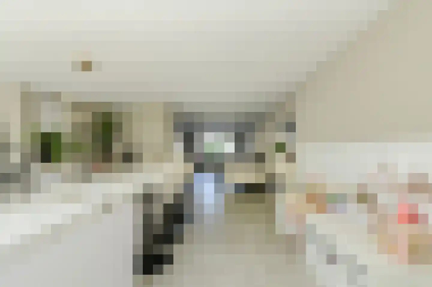 Koolmees 26 Breda thumbnail 18