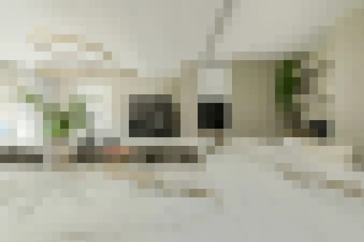 Koolmees 26 Breda thumbnail 19