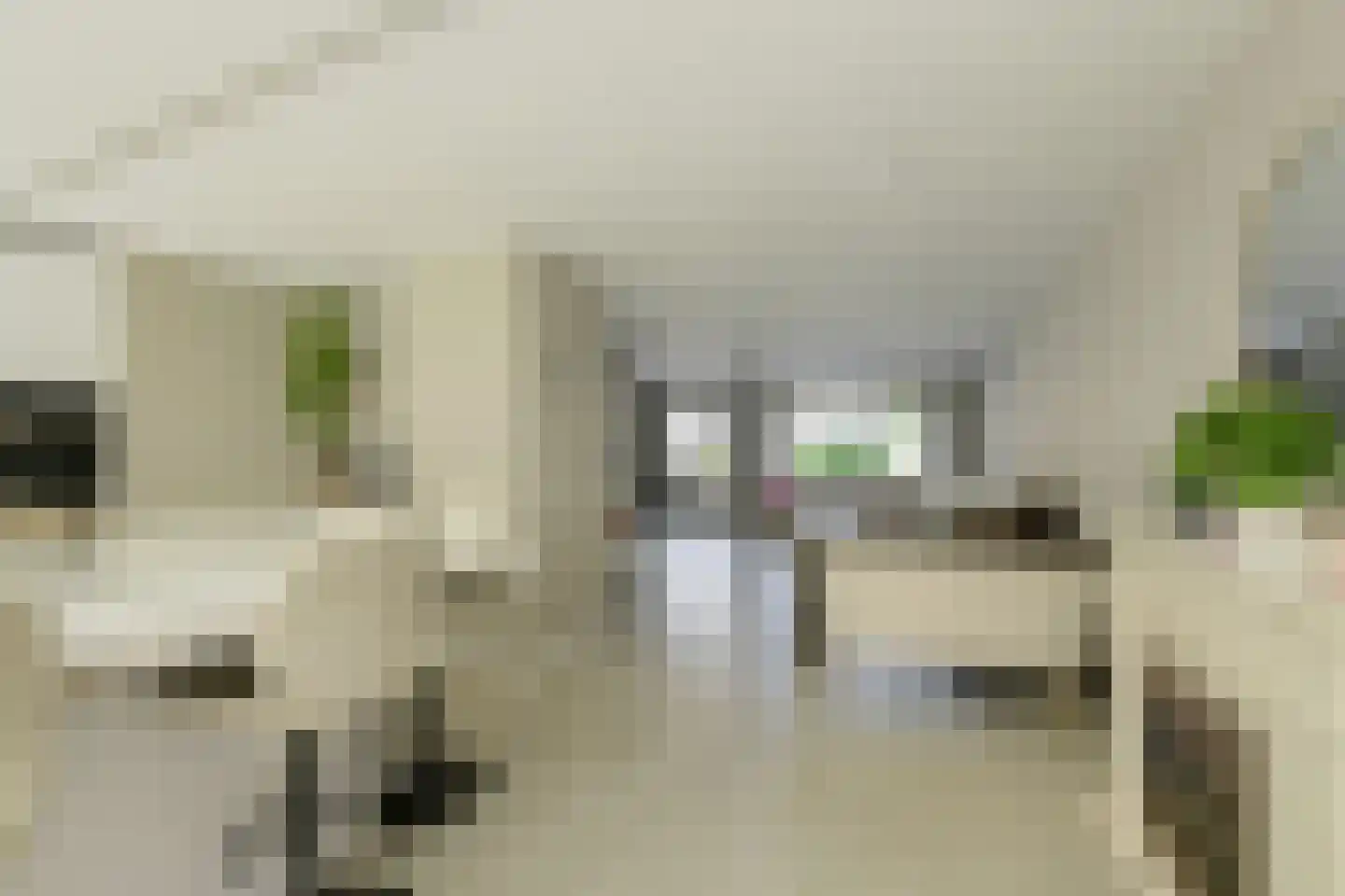 Koolmees 26 Breda thumbnail 20