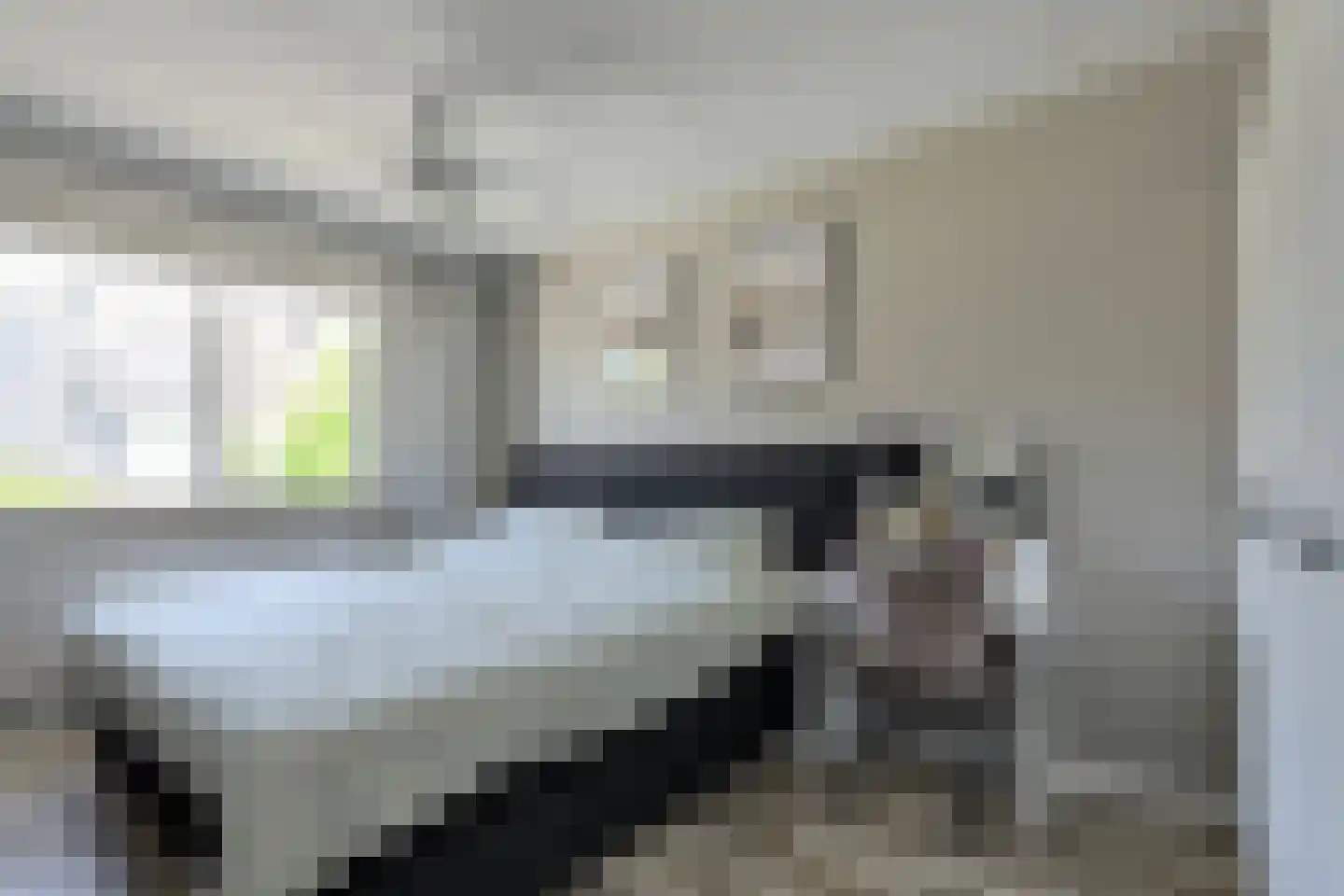 Koolmees 26 Breda thumbnail 24