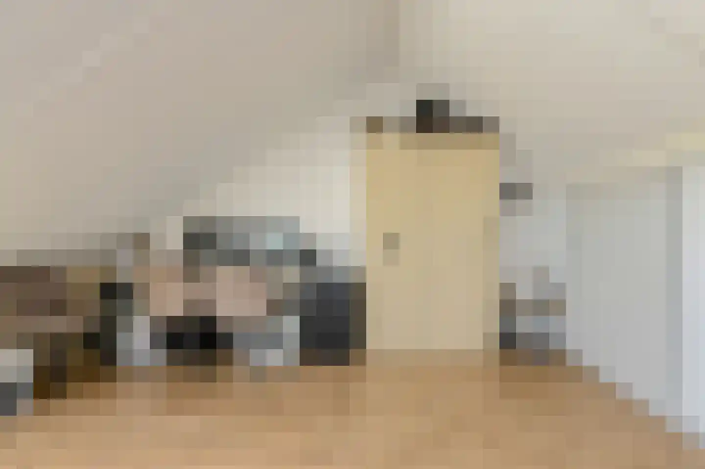 Koolmees 26 Breda thumbnail 36
