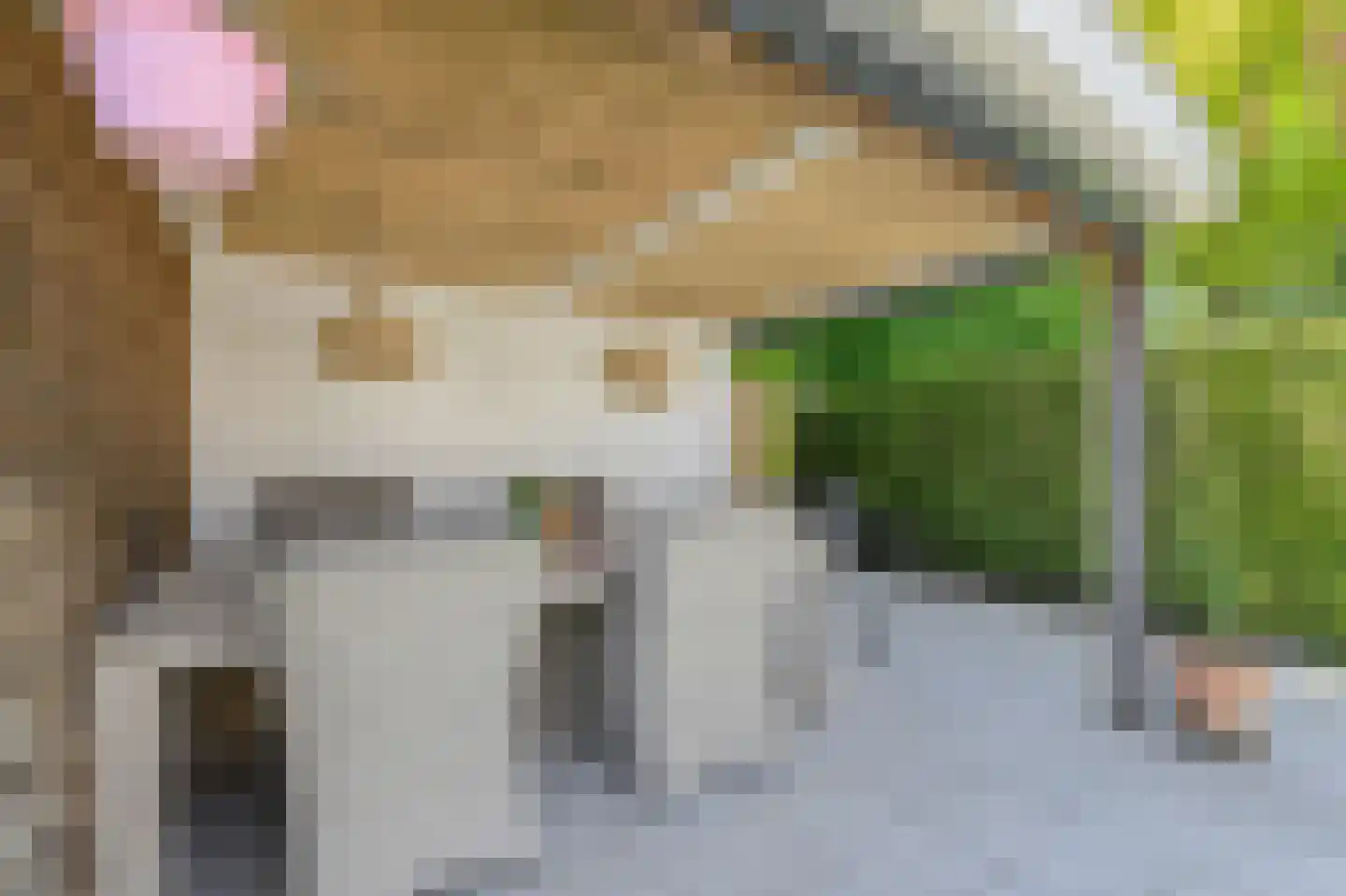 Koolmees 26 Breda thumbnail 42
