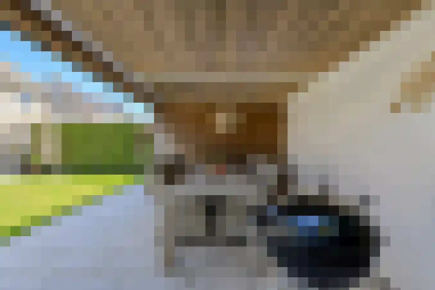 Koolmees 26 Breda thumbnail 43