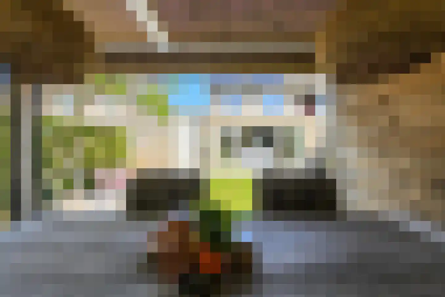 Koolmees 26 Breda thumbnail 44