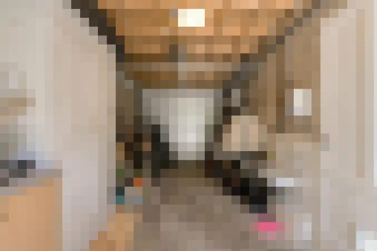 Koolmees 26 Breda thumbnail 48