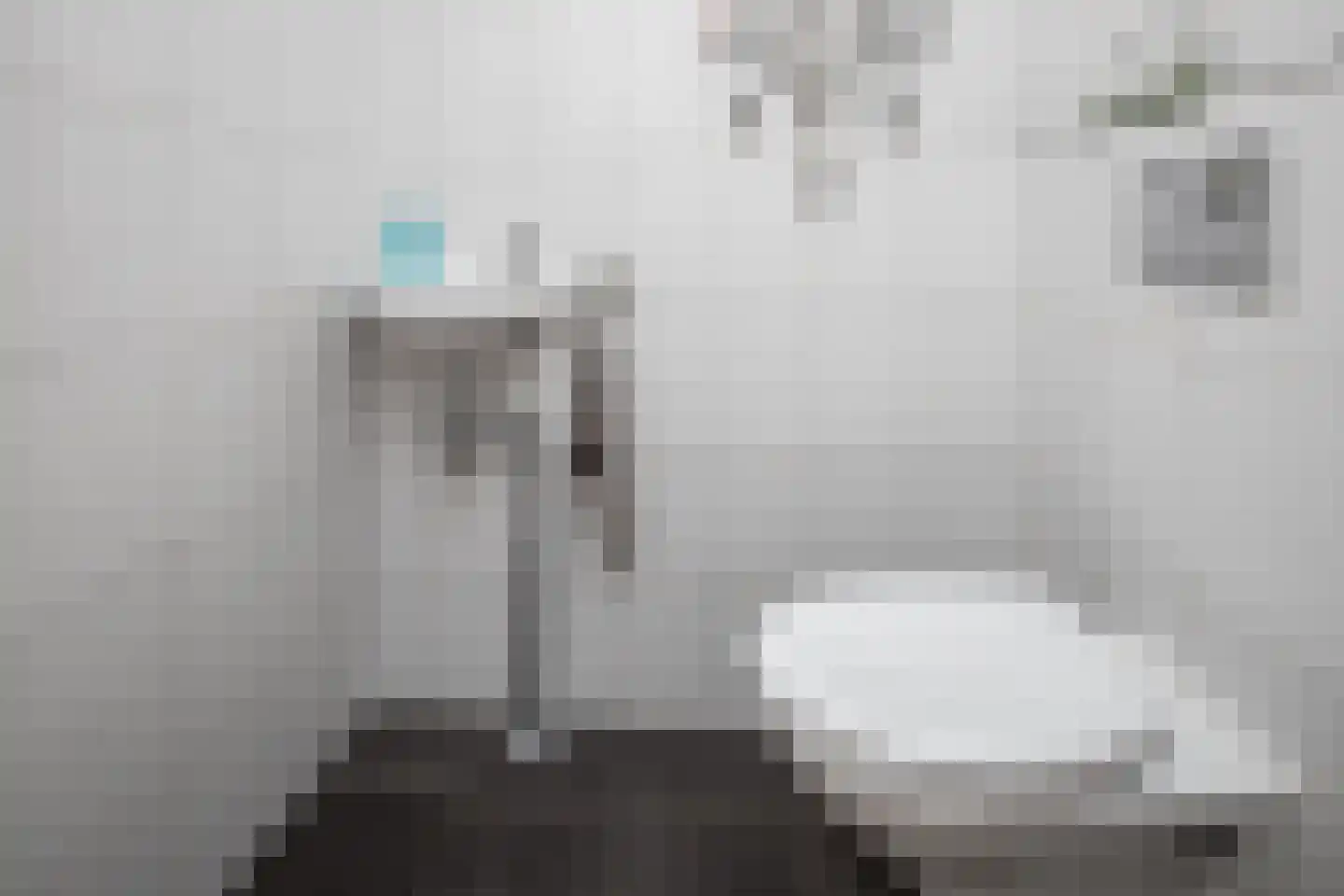 Koolmees 28 Hoogkarspel thumbnail 11