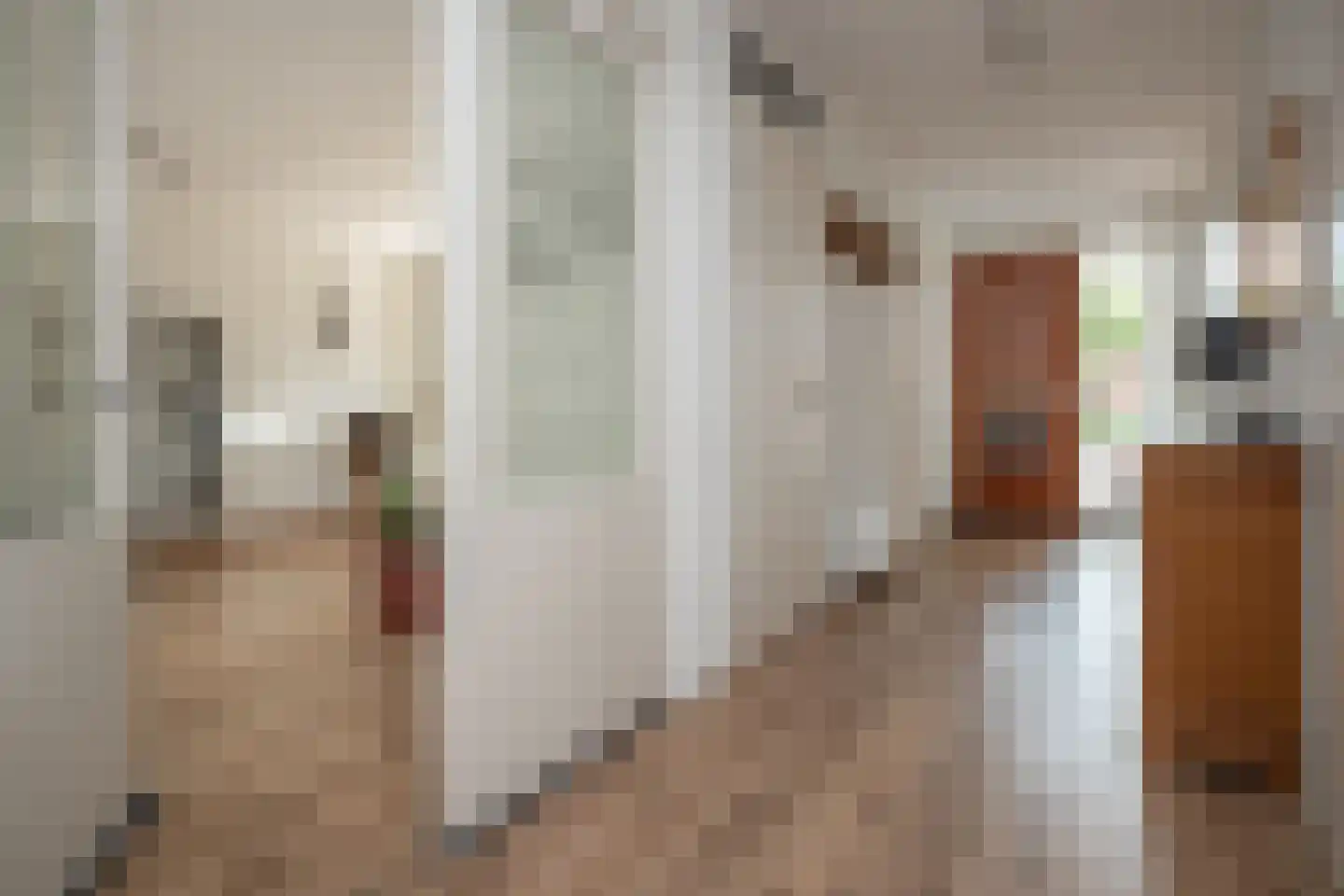 Koolmees 28 Hoogkarspel thumbnail 12
