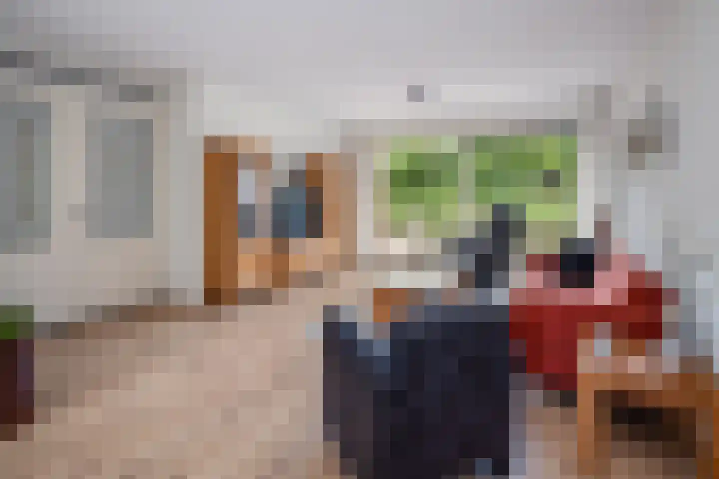 Koolmees 28 Hoogkarspel thumbnail 13
