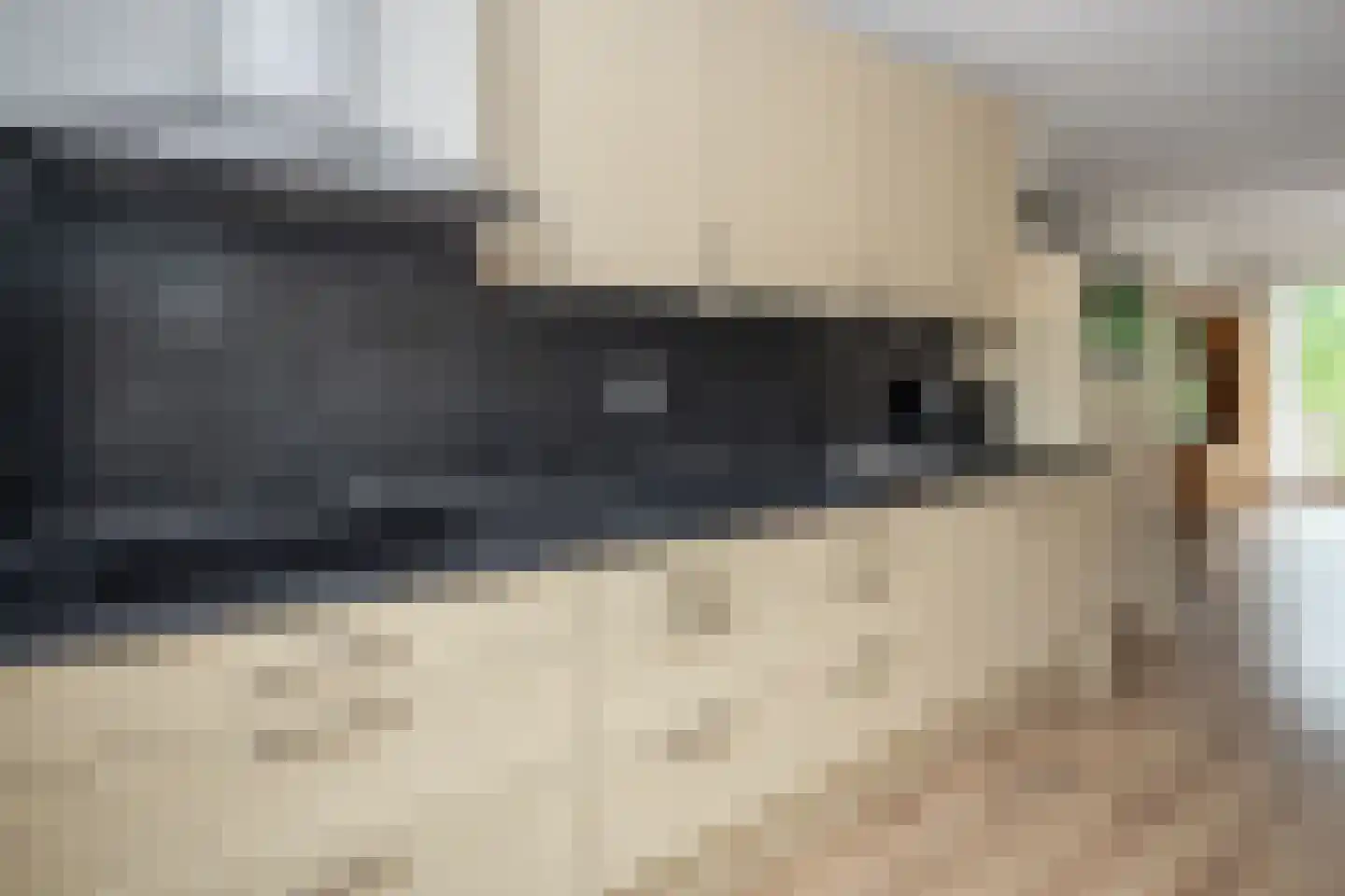 Koolmees 28 Hoogkarspel thumbnail 18