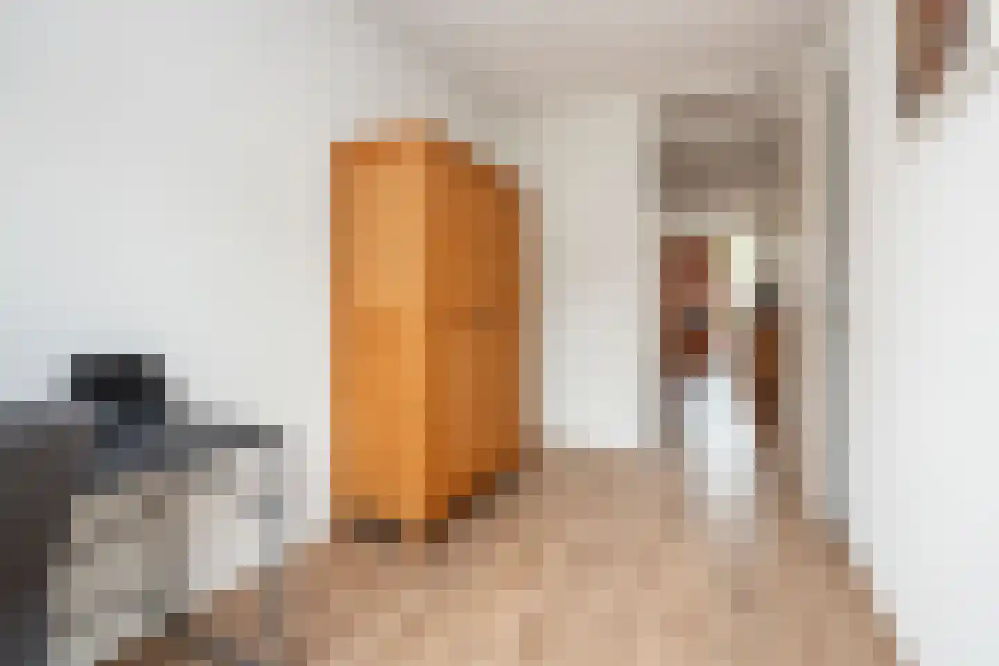 Koolmees 28 Hoogkarspel thumbnail 23