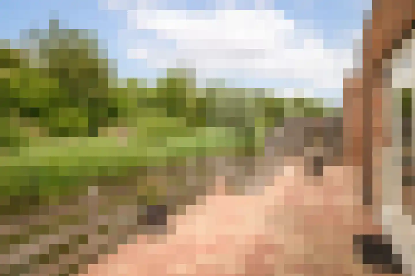 Koolmees 28 Hoogkarspel thumbnail 26
