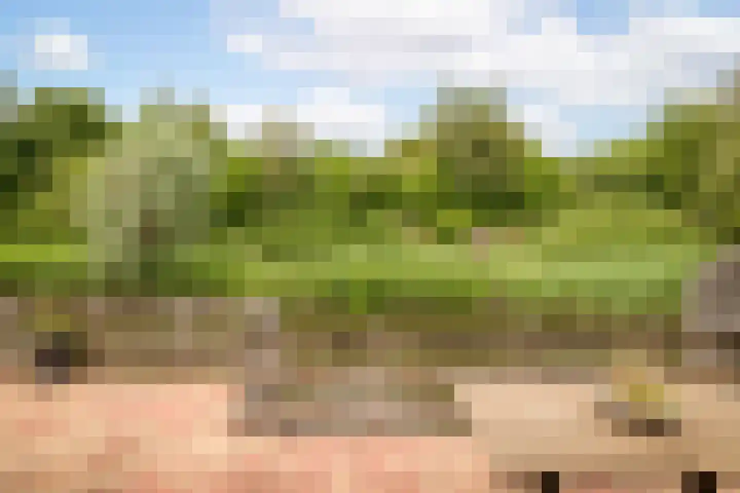 Koolmees 28 Hoogkarspel thumbnail 27