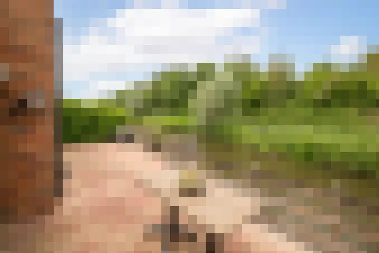 Koolmees 28 Hoogkarspel thumbnail 28