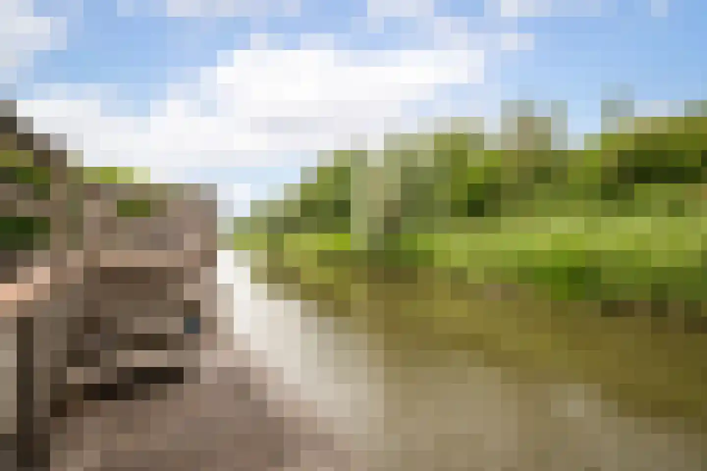 Koolmees 28 Hoogkarspel thumbnail 29