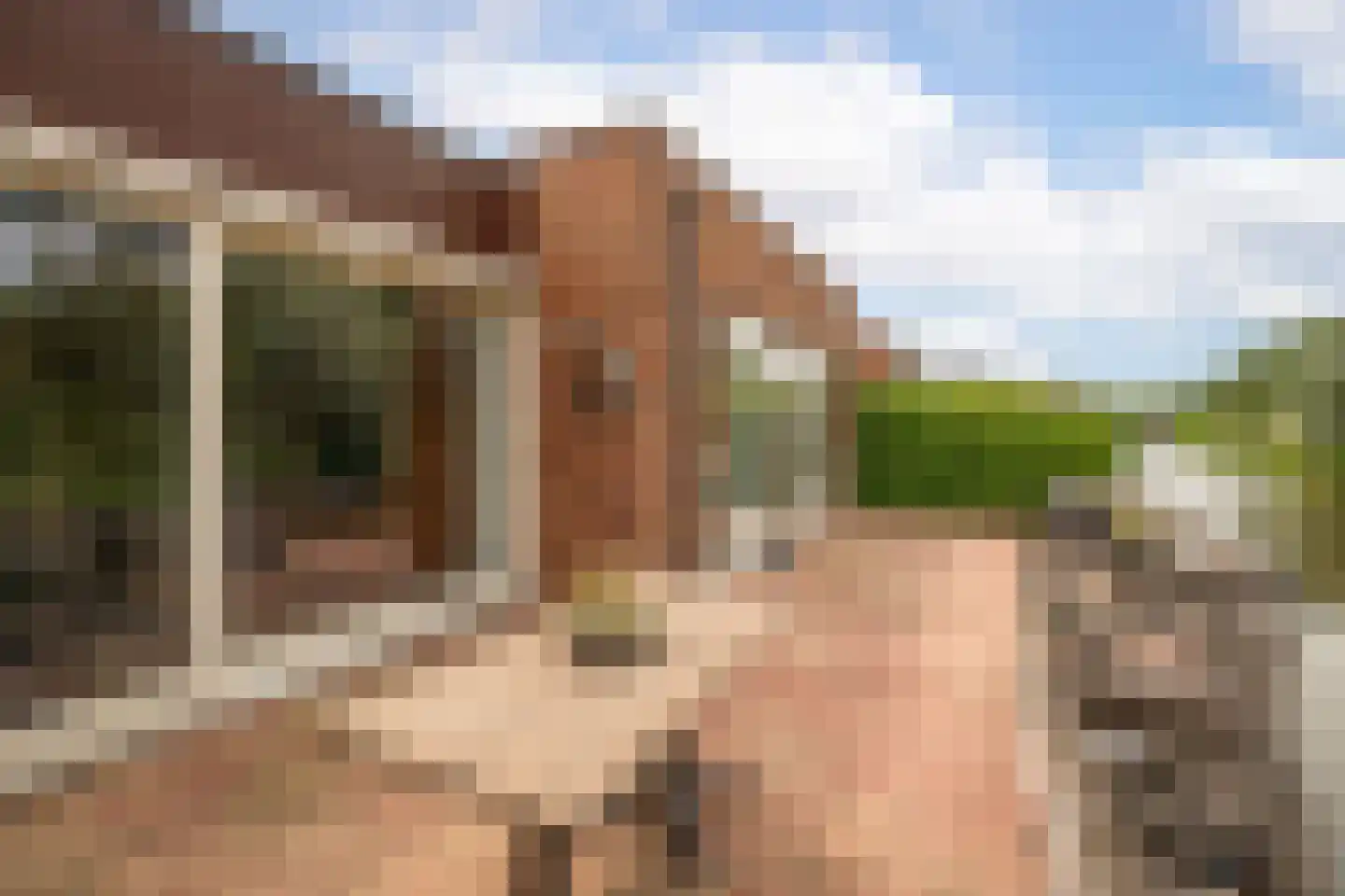 Koolmees 28 Hoogkarspel thumbnail 30