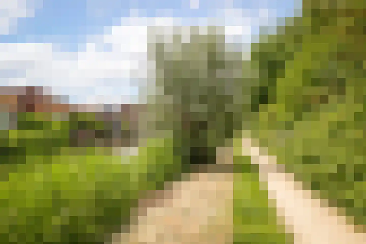 Koolmees 28 Hoogkarspel thumbnail 36
