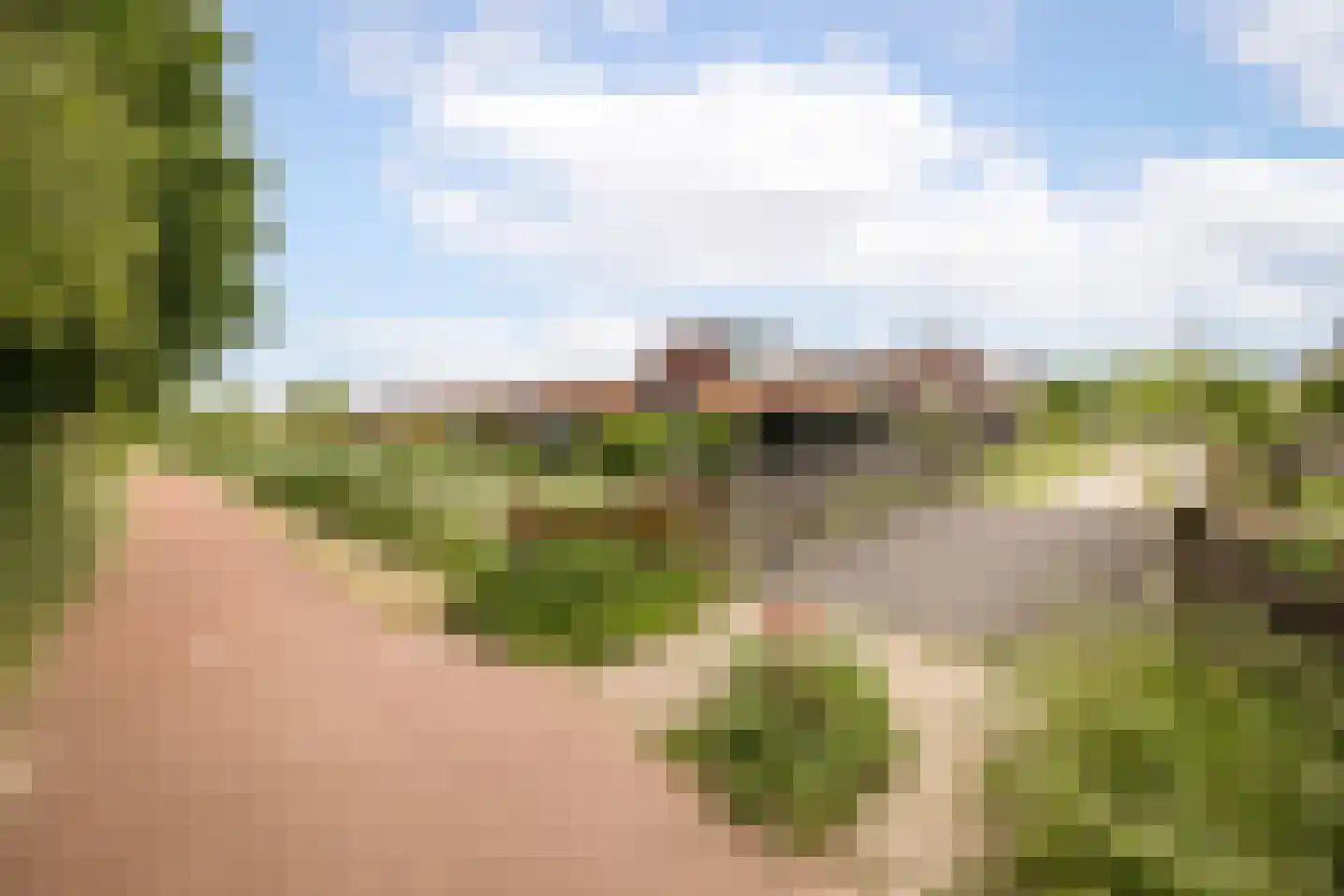Koolmees 28 Hoogkarspel thumbnail 37
