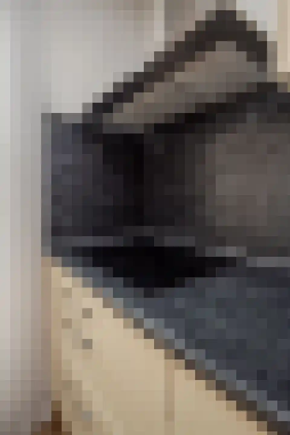 Koolmees 28 Hoogkarspel thumbnail 44
