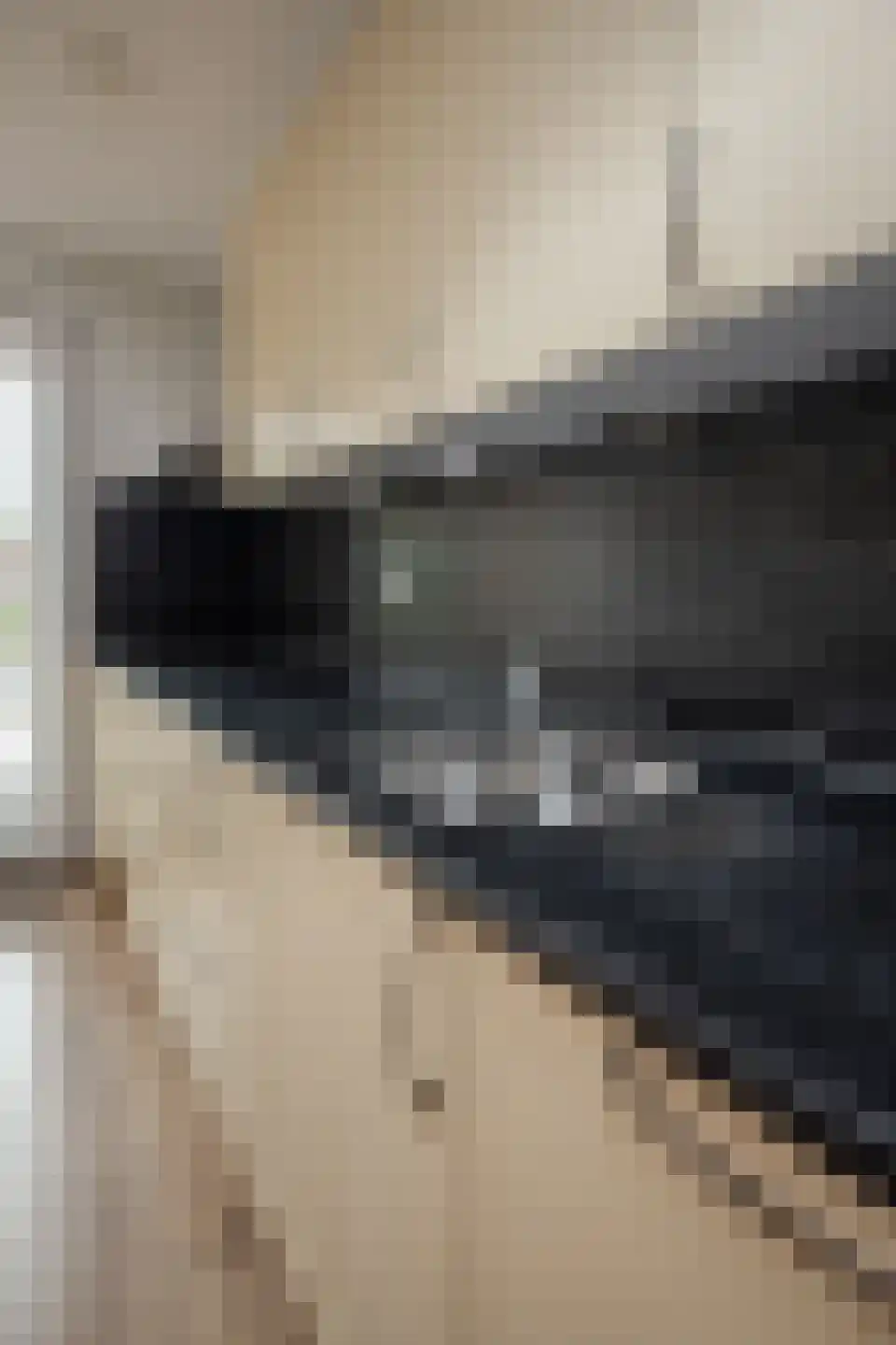 Koolmees 28 Hoogkarspel thumbnail 45