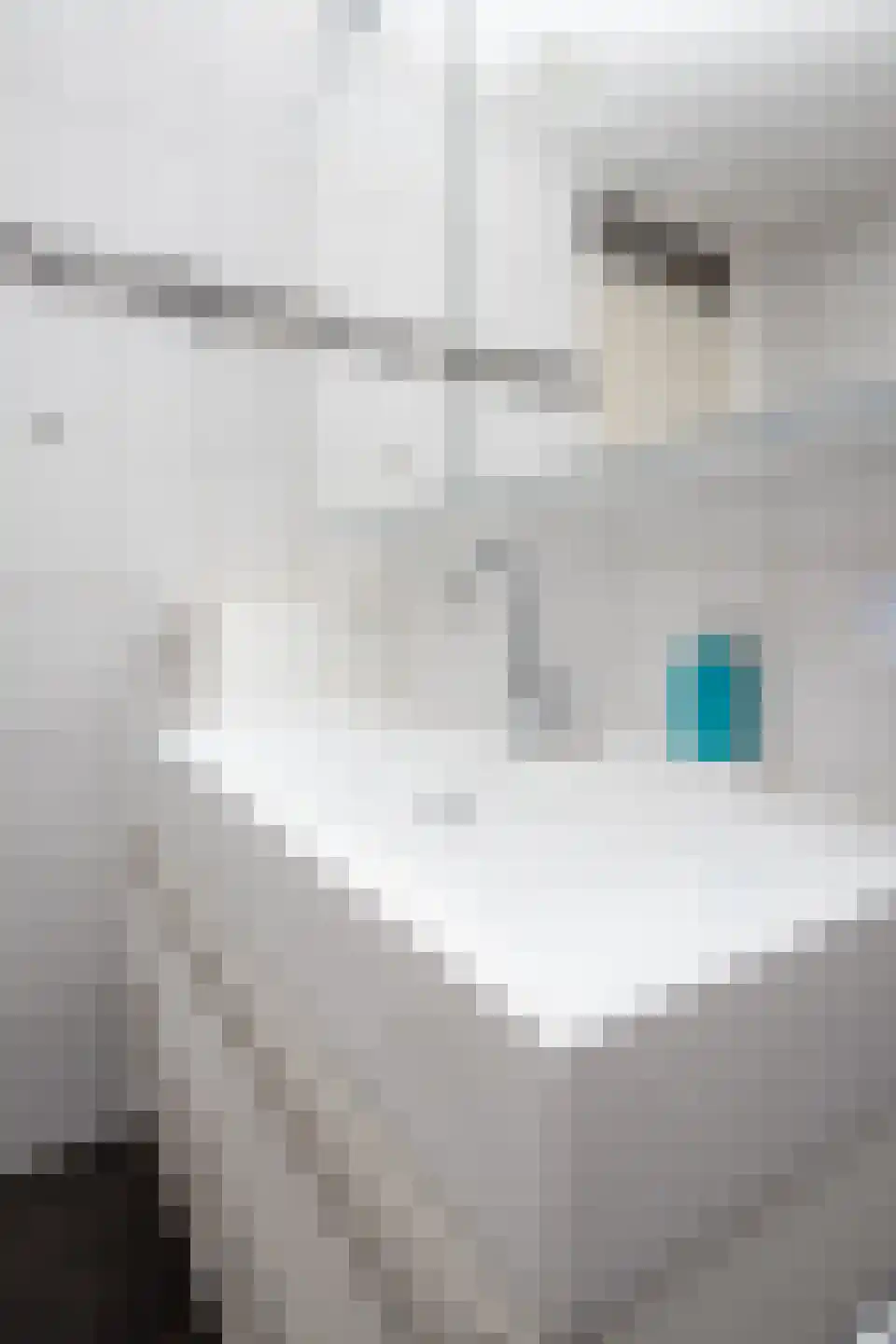 Koolmees 28 Hoogkarspel thumbnail 46