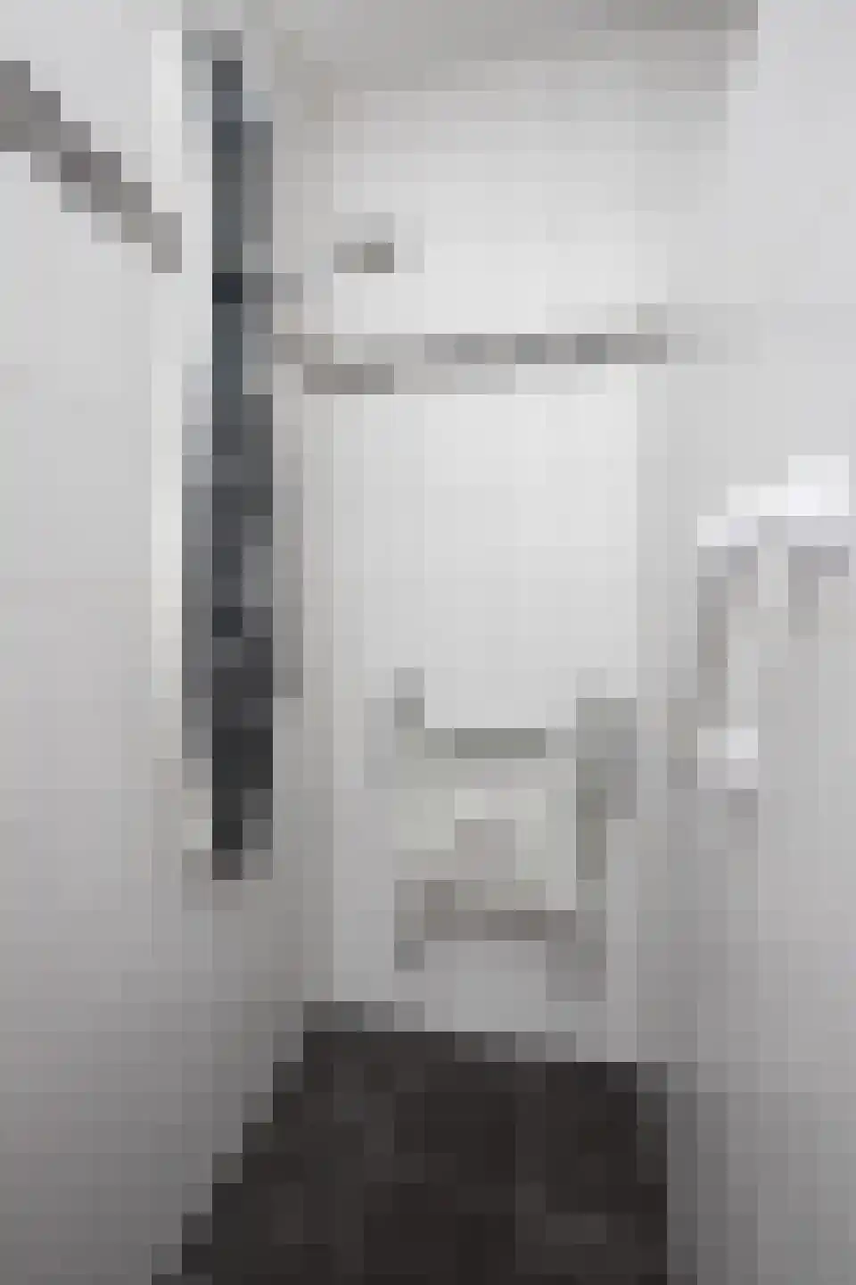 Koolmees 28 Hoogkarspel thumbnail 47