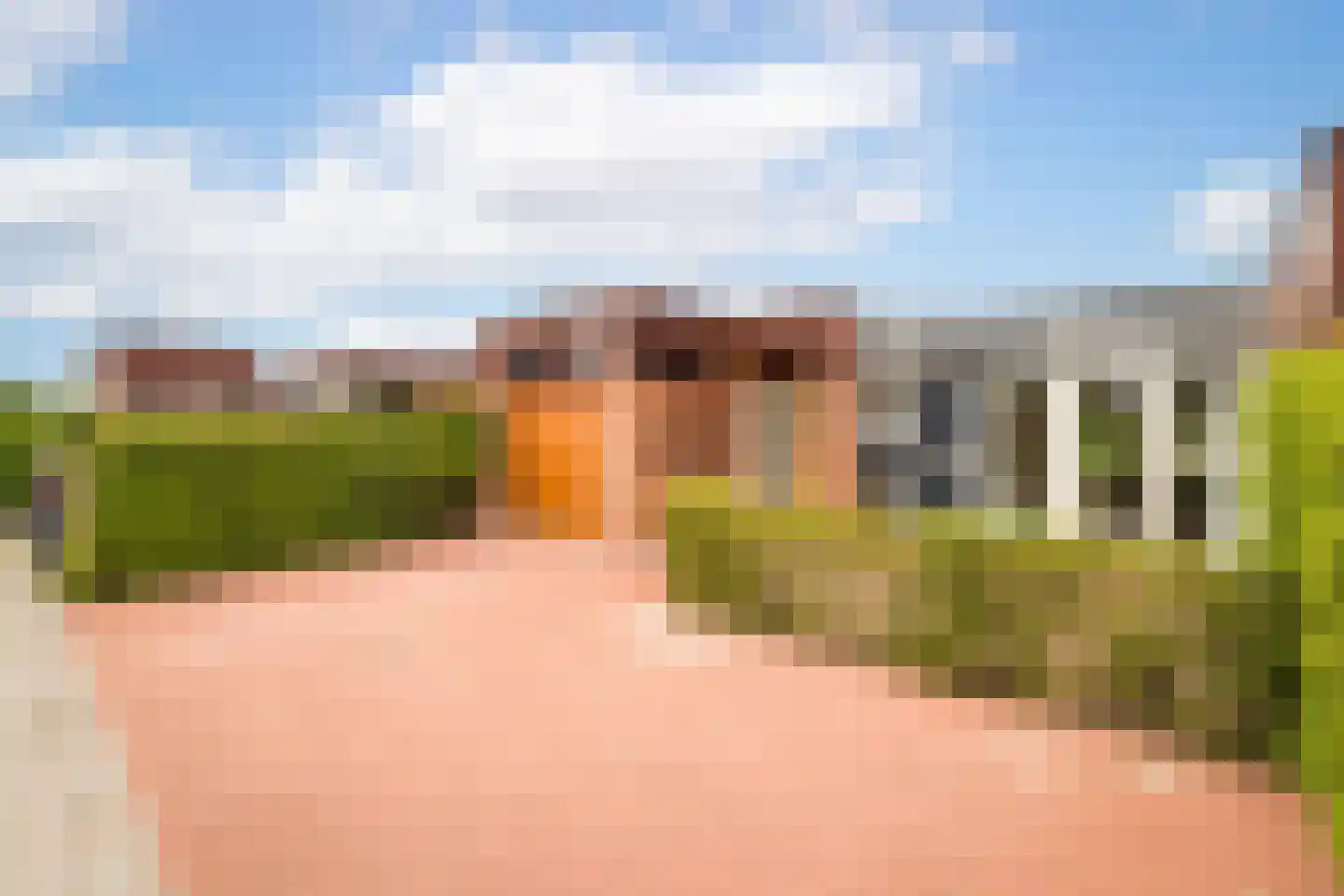 Koolmees 28 Hoogkarspel thumbnail 5