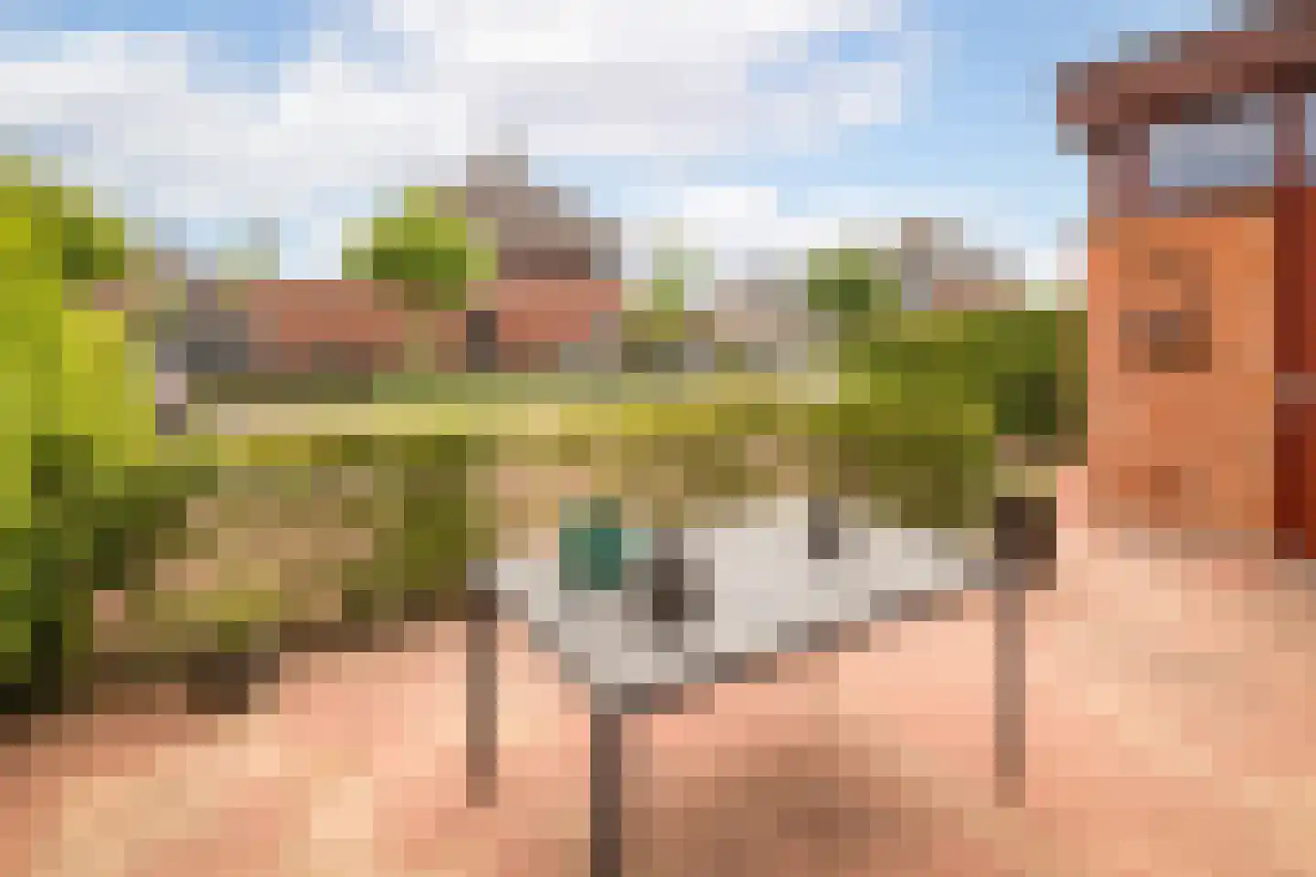 Koolmees 28 Hoogkarspel thumbnail 7