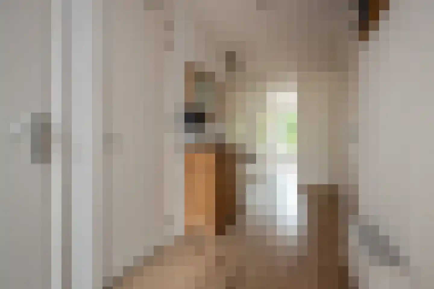 Koolmees 28 Hoogkarspel thumbnail 8