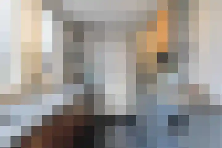 Koolmees 28 Hoorn thumbnail 12