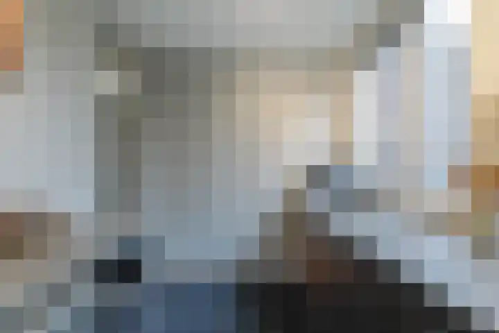 Koolmees 28 Hoorn thumbnail 13