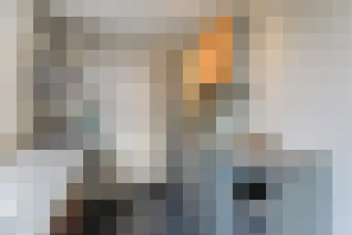 Koolmees 28 Hoorn thumbnail 14