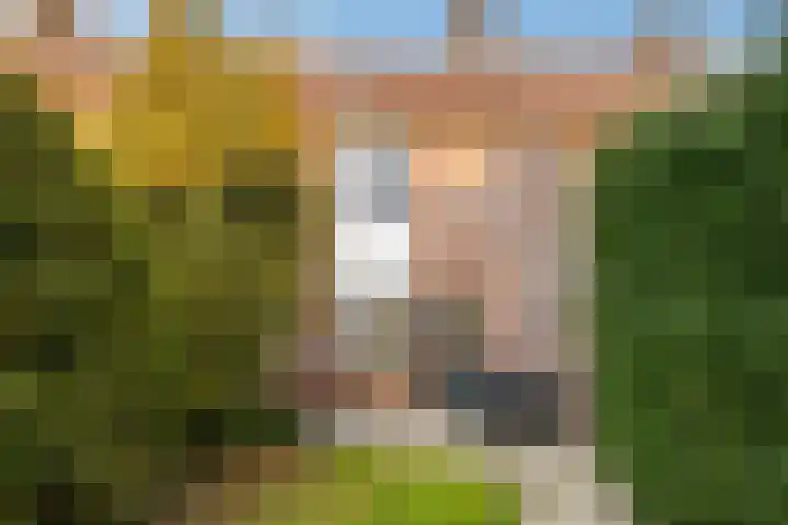 Koolmees 28 Hoorn thumbnail 18