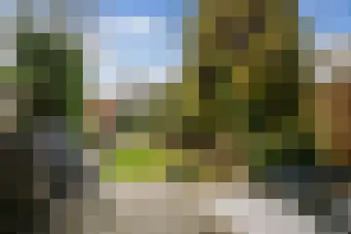 Koolmees 28 Hoorn thumbnail 19