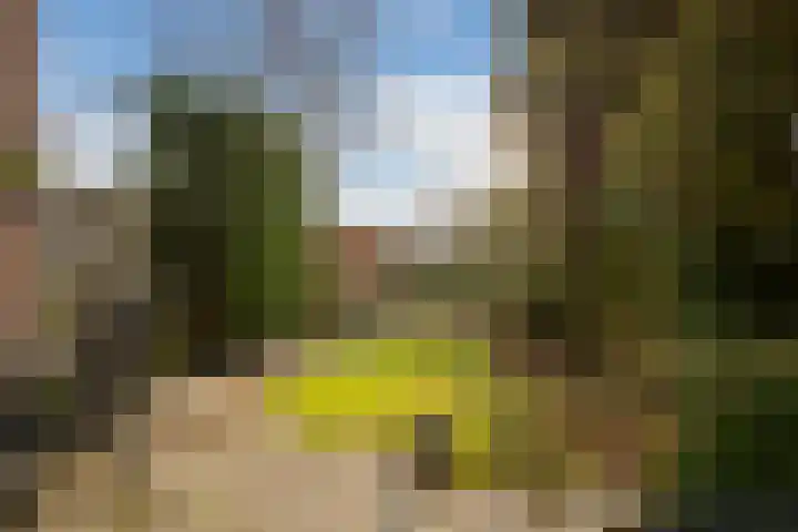 Koolmees 28 Hoorn thumbnail 20