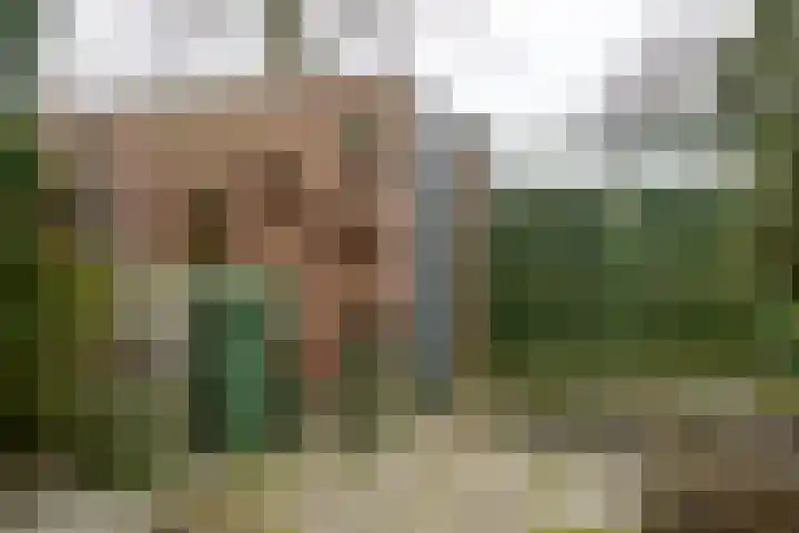 Koolmees 28 Hoorn thumbnail 22