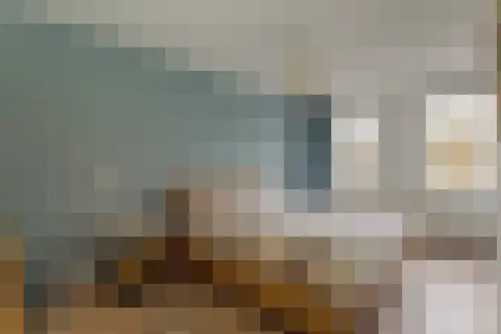 Koolmees 28 Hoorn thumbnail 24