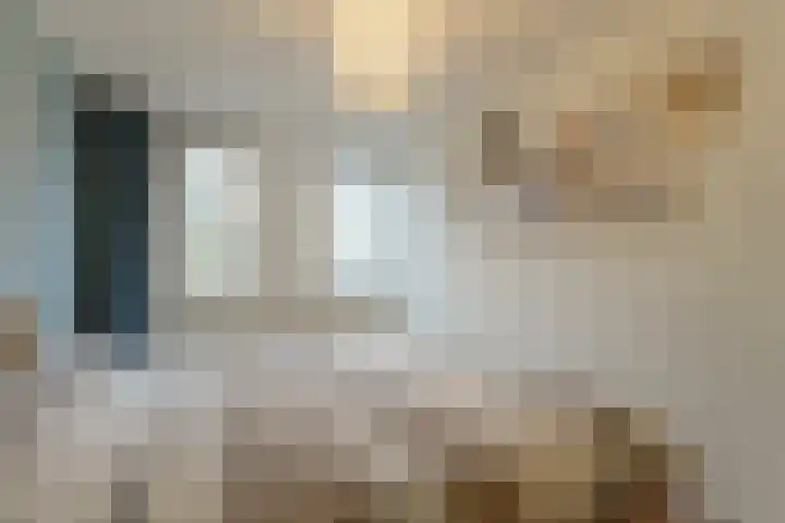 Koolmees 28 Hoorn thumbnail 25