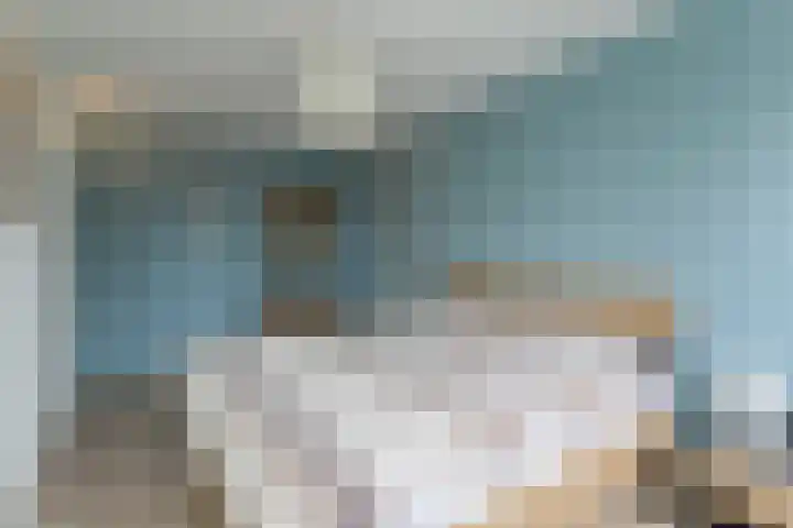 Koolmees 28 Hoorn thumbnail 26
