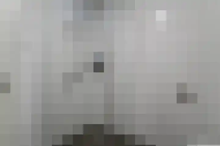 Koolmees 28 Hoorn thumbnail 27