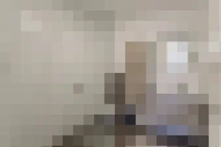 Koolmees 28 Hoorn thumbnail 28