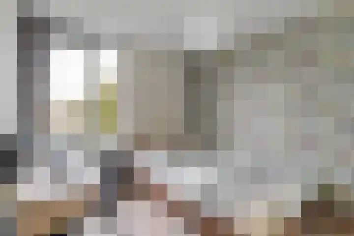 Koolmees 28 Hoorn thumbnail 29