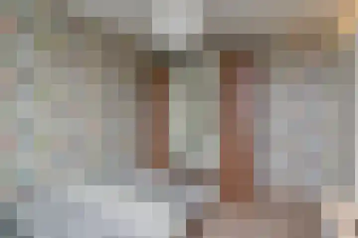 Koolmees 28 Hoorn thumbnail 30